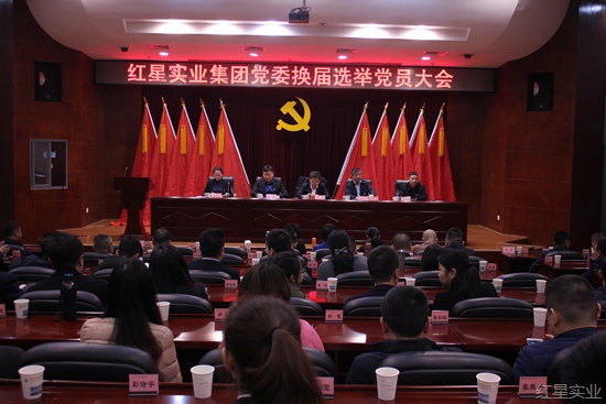 20171223AM红星实业集团党委顺利完成换届选举 (8).jpg