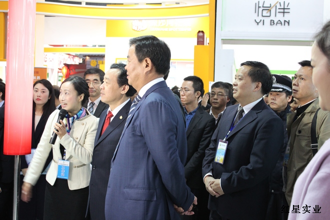 2015中国中部(湖南)国际农博会 领导巡展.jpg