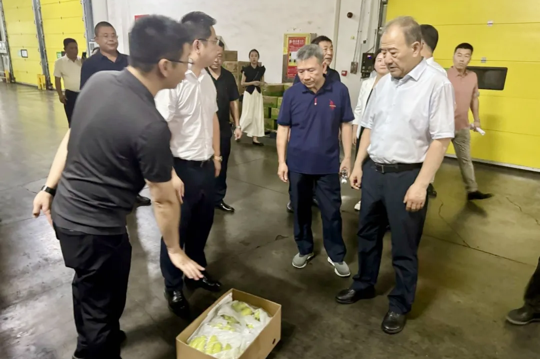 甘味高原夏菜、果品两大运营中心正式落户3.png